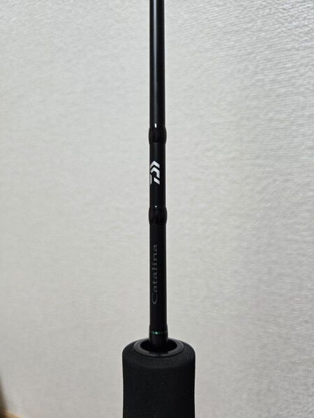 ダイワ キャタリナSJ 60B-3