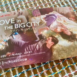 LOVE in THE BIG CITY 使用済ムビチケ ラブ・イン・ザ・ビッグシティ キム・ゴウンさん ノ・サンヒョンさん