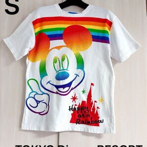美品 TOKYO Disney RESORT ミッキーマウス レインボーTシャツ Sサイズ