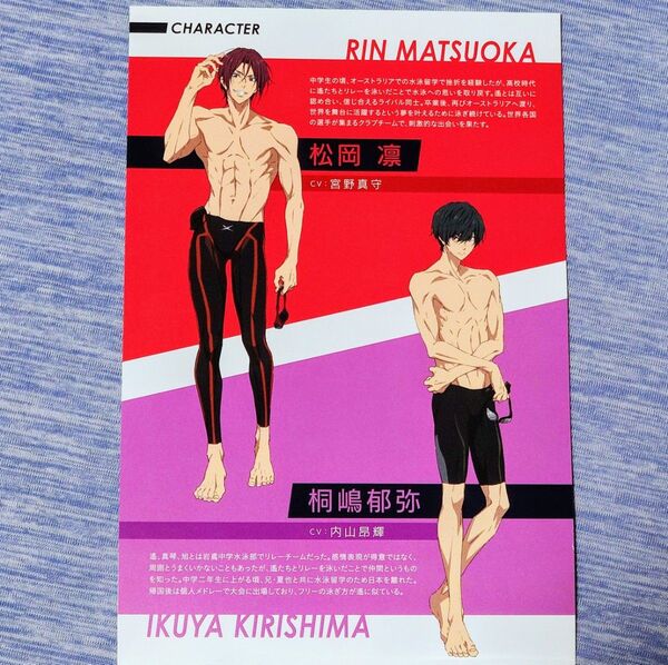 Free! DF -Dive to the Future- スペシャルブック七瀬遥 橘真琴 葉月渚 桐嶋郁弥 松岡凛 山崎宗介