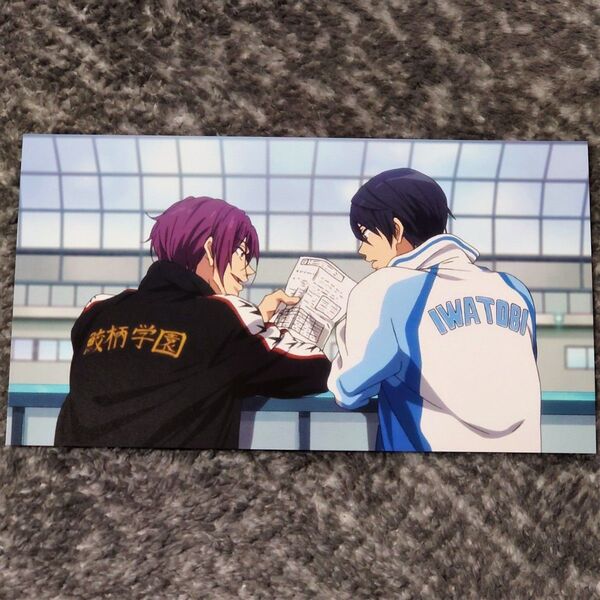 アニメ フリー TM 劇場版 Free! -Timeless Medley- 約束 フォトコレクションカード 七瀬遙 松岡凛