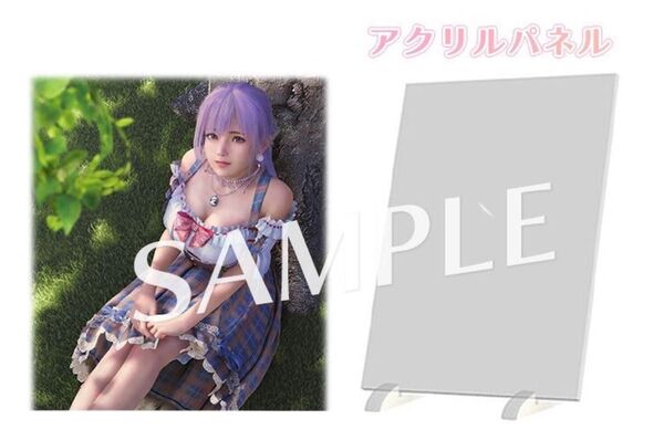 【未開封】DOAXVV/『Venus Vacation PRISM』/ファミ通DXパック特典 アクリルパネル(フィオナ)