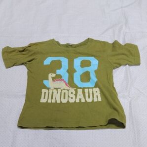 100サイズ Tシャツ 半袖Tシャツ 綿100% 恐竜