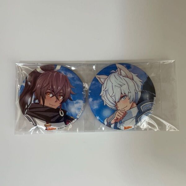 ☆新品未開封品 ルーンファクトリー 龍の国 アニメイト特典 缶バッチ