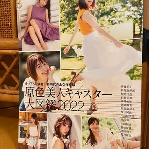原色美人キャスター大図鑑 cent.FORCE Perfect File 2022