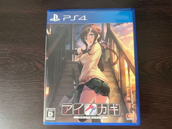 PS4 アイカギ きみと一緒にパック Aikagi pack with you