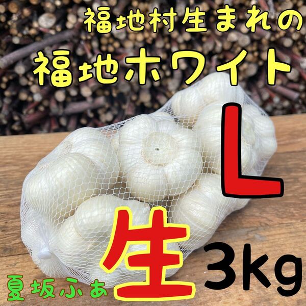 福地ホワイト発祥の地 福地村産 元祖福地ホワイト L 3kg 青森県産 生にんにく 令和7年産 農家直送 夏坂ふぁーむ 低農薬