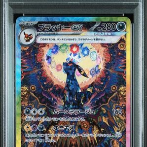 PSA10 ブラッキーex SAR ポケモンカード テラスタルフェスex