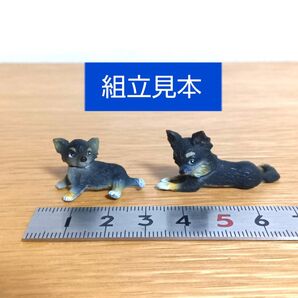 チワワ フィギュア 2体セット