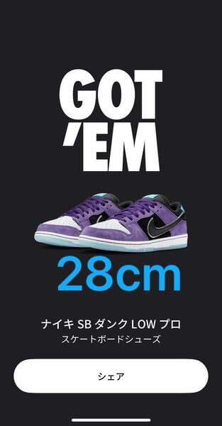 Hayley Wilson × Nike SB Dunk Low Pro "Black and Court Purple 28cm