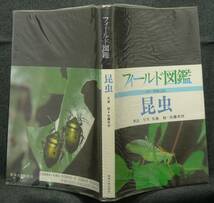 【超希少】【初版】古本　昆虫　フィールド図鑑　解説・写真：矢島稔、佐藤有恒　東海大学出版会_画像2