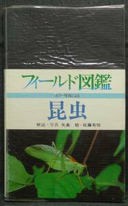 【超希少】【初版】古本　昆虫　フィールド図鑑　解説・写真：矢島稔、佐藤有恒　東海大学出版会