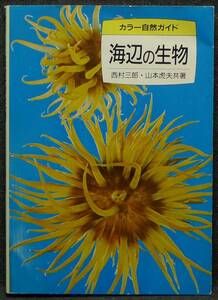 【超希少】【美品】古本　海辺の生物　カラー自然ガイド　１７　著者：西村三郎、山本虎夫　（株）保育社