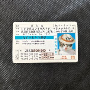 なめ猫免許証風カード どら吉