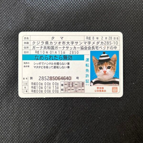 なめ猫免許証 タマ