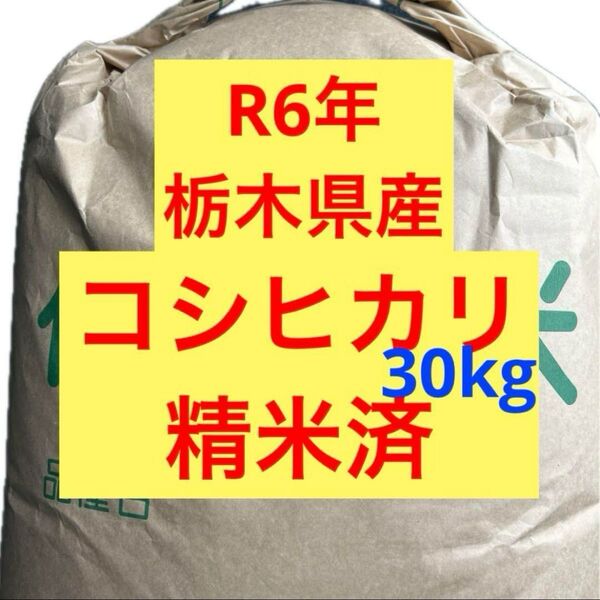 【最終価格】令和6年 R6年 新米 栃木県産 コシヒカリ 白米 精米済み 30kg