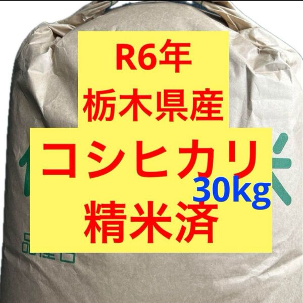 【最終価格】令和6年 R6年 新米 栃木県産 コシヒカリ 白米 精米済み 30kg