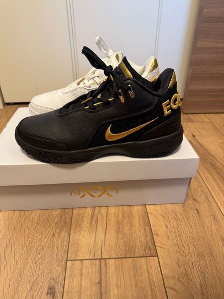 美品 ZM LEBRON NXXT GEN AMPD EPレブロン 26.5cm