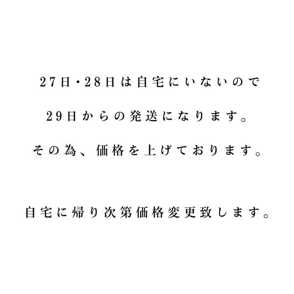 シルバニアファミリー のりものセット 海外版 未使用 廃盤 レア物 希少 【箱の一部割れてます。】