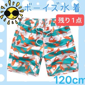 新品 男の子 水着 海パン サーフパンツ スイムパンツ 水泳 プール 120 7歳 8歳