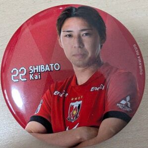 浦和レッズ 缶バッジ 柴戸海