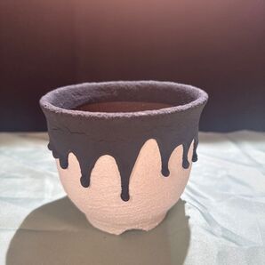レフトボタニカル LEFT BOTANICAL 白黒 タレ鉢