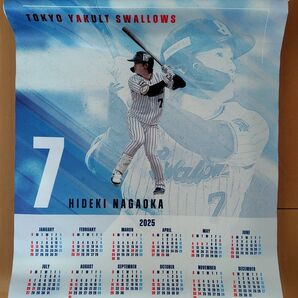 東京ヤクルトスワローズ 長岡秀樹 タペストリーカレンダー
