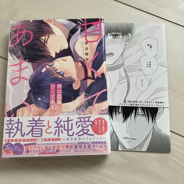鴉は雲雀に甘くてあまい/車谷晴子 アニメイト限定書き下ろし4pリーフレット