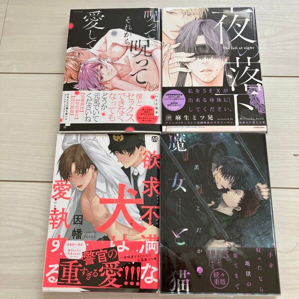 夜の落下/麻生ミツ晃 魔女と猫 欲求不満な犬は愛執する 呪って呪ってそれから愛して