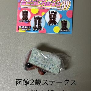 アイドルホースミニコレクション vol.39 函館2歳ステークス ゼルトザーム