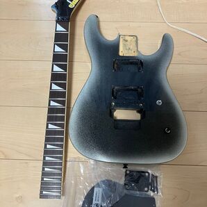 フォトジェニックフロイドローズタイプギター抜け殻