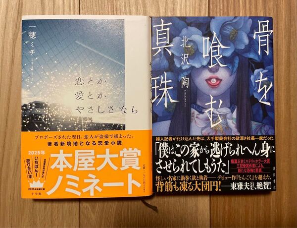 小説2冊セット 恋とか、愛とか、やさしさなら/骨を喰む