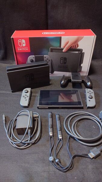 Nintendo Switch 本体 グレー HAC-S-KAAAA 保護ケース付