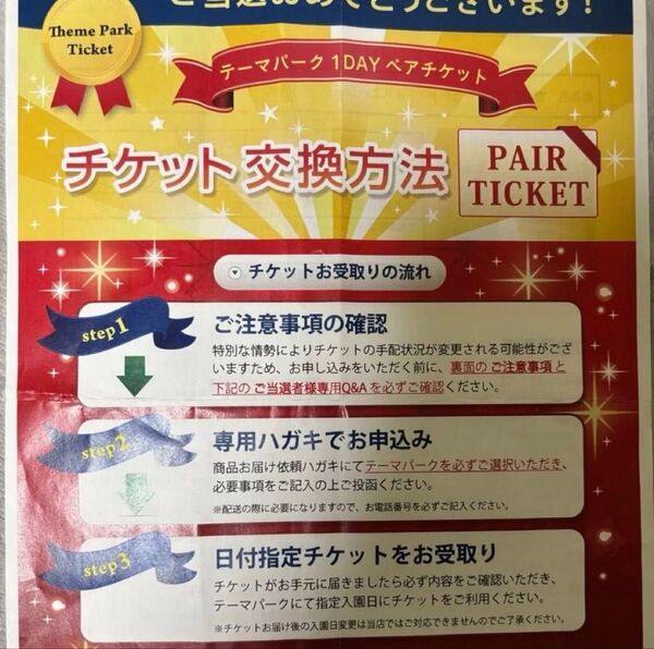 東京ディズニーランドorディズニーシー ペアチケット (無期限)