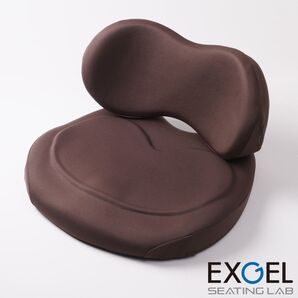 【超美品】EXGEL ハグカンフィプレミアム HUG01 black olive オフィス 座布団 クッション 腰痛 骨盤矯正
