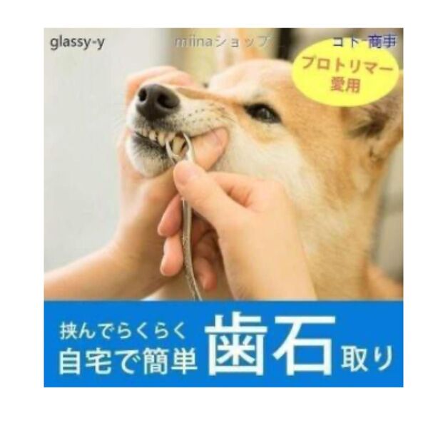愛犬・愛猫用 歯石取りペンチ犬歯石デンタルケア
