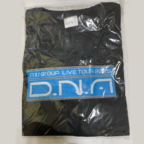新品未開封 Aぇ! group LIVE TOUR 2025 D.N.A ロングTシャツ