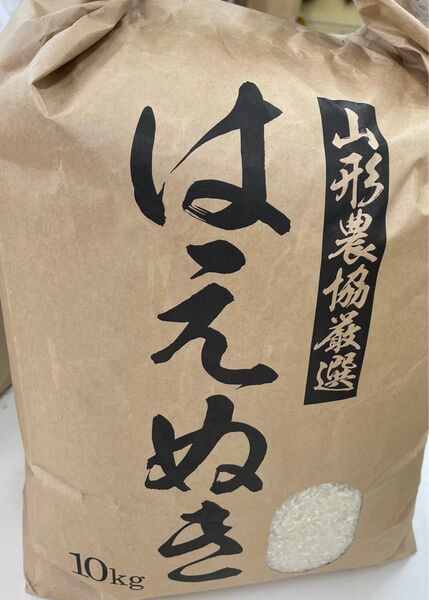 山形県産 令和6年度 はえぬき 10kg 玄米 精米