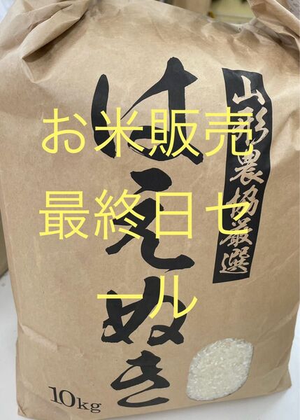 最終セール 山形県産 令和6年度 はえぬき 10kg 玄米 精米