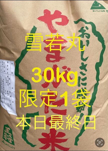 30kg 山形県産 雪若丸 令和6年産 最終セールです!