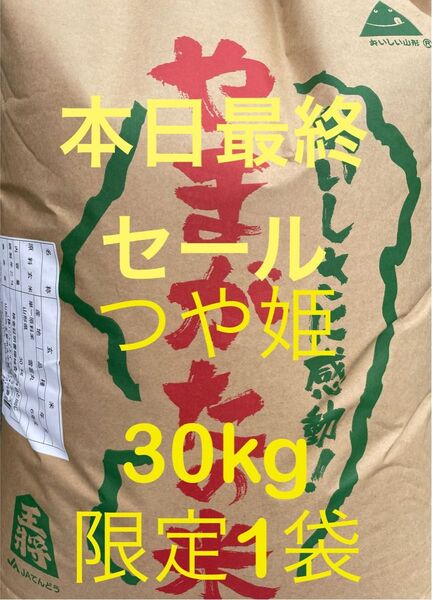 最終セール! 山形県産 令和6年度 つや姫 一等米 30kg 玄米