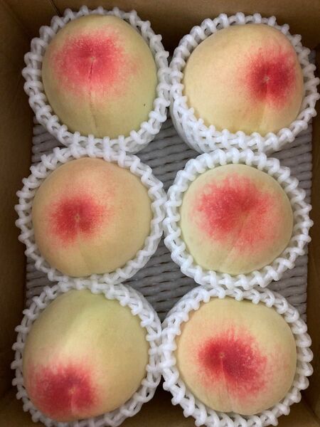 岡山の桃 「はなよめ」5〜8玉入り