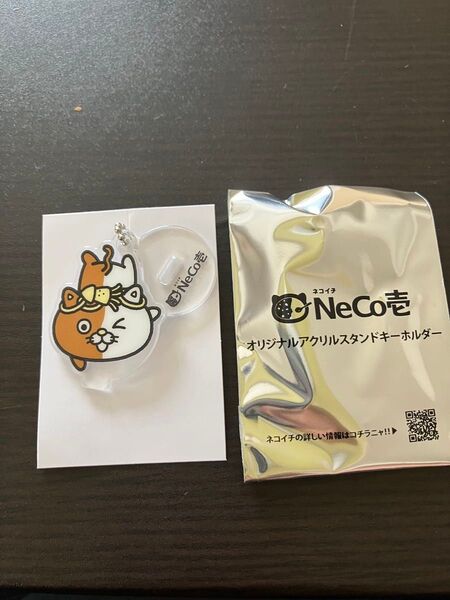 ネコイチ オリジナルアクリルスタンドキーホルダー イカカレーニャ