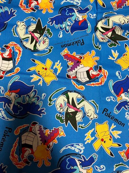 ポケモン 生地 ピカチュウ ルカリオ ハンドメイド オックス