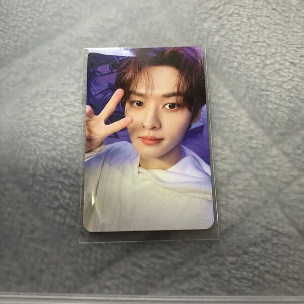 straykids スキズ 樂 STAR POSTCARD.ver リノ トレカ