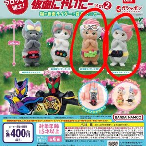 仮面にゃいだー その2 2種類セット