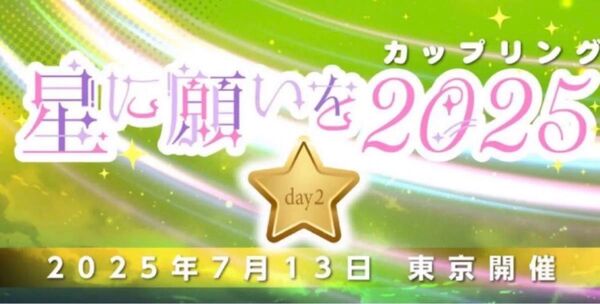 【送料込】 7/13 星に願いを -day2- 2025 1枚 サークルチケット サークルPASS 1枚 赤ブー サクチケ