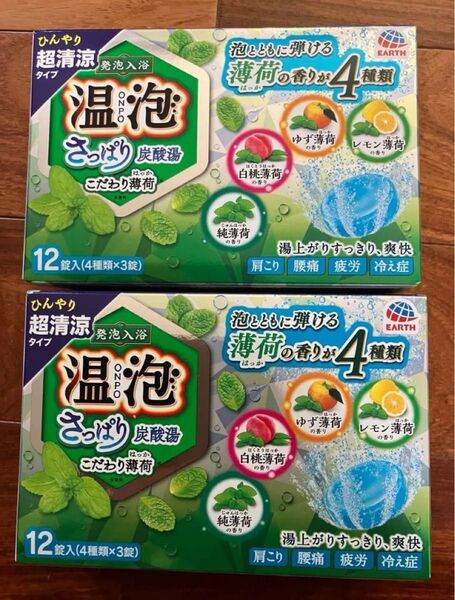 温泡 ONPO さっぱり炭酸湯 こだわり薄荷 1箱 (12錠入)×2