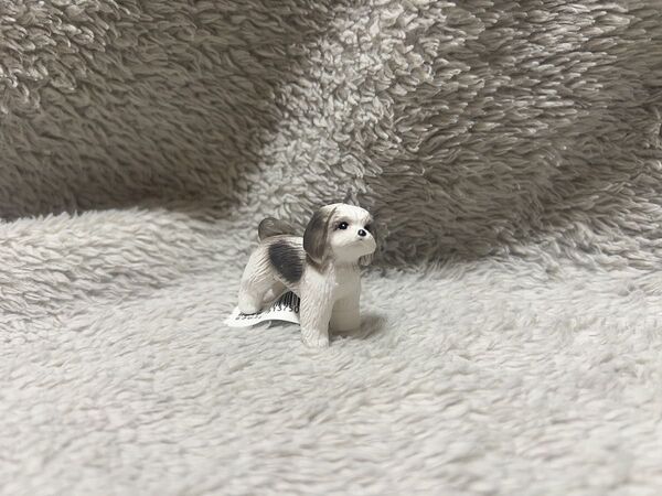 シーズー ミニチュアプラネットminiatureplane 犬