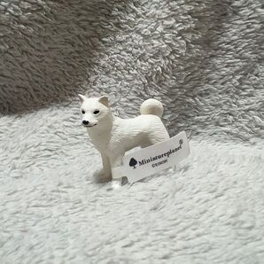 北海道犬 ミニチュアプラネットminiatureplane 犬